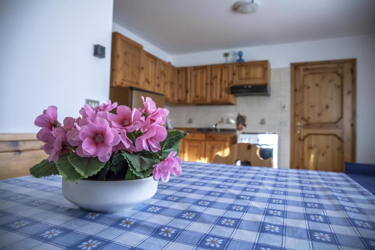 Apartments Ospitalita Diffusa Borgate Tra Le Malghe Falcade Zewnętrze zdjęcie